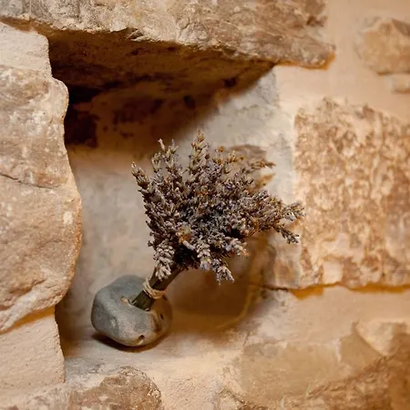 ラグジュアリー ルーム ココラ ゲストハウス 4*